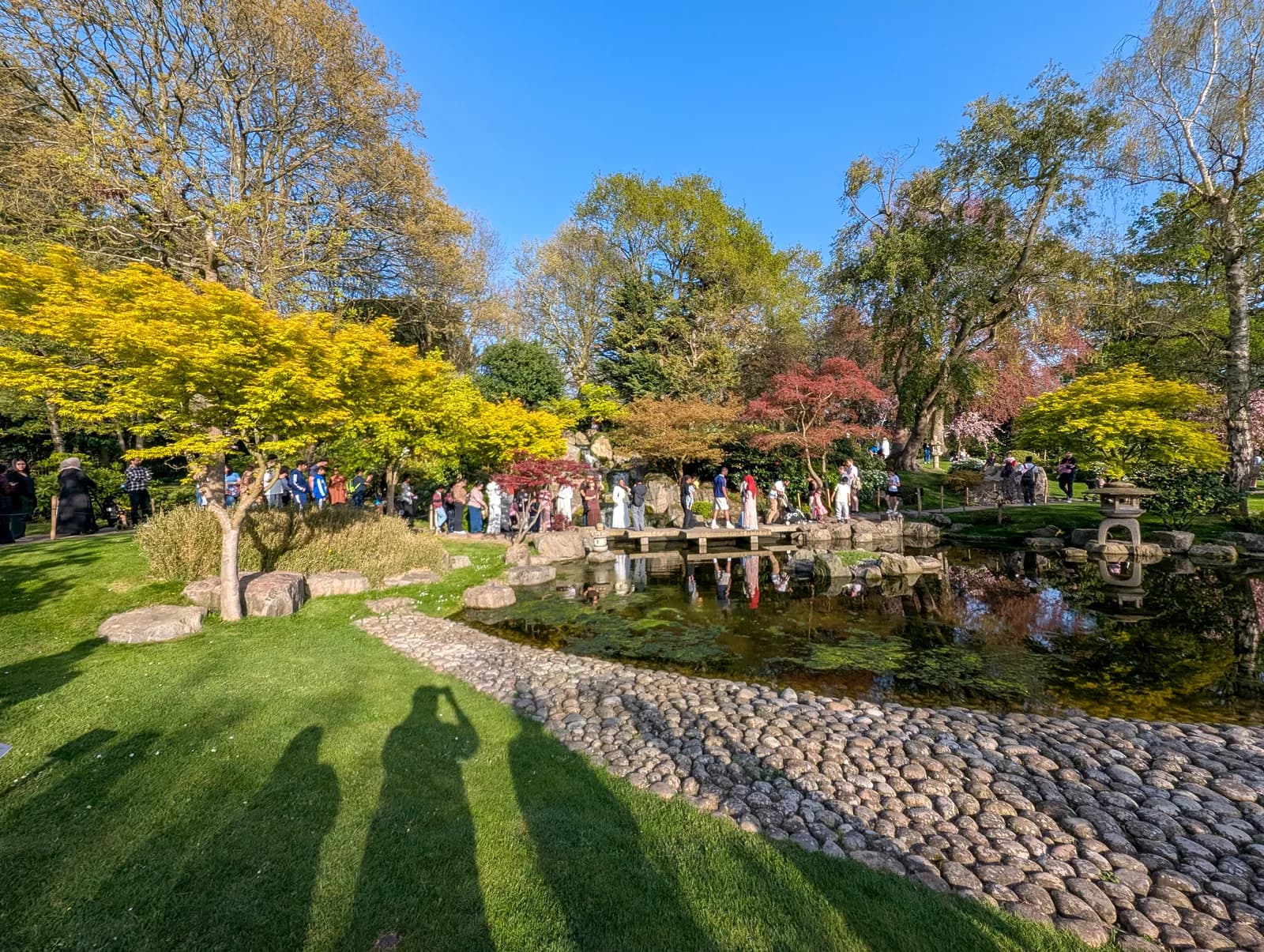 Holland Park: From Aristocratic Estate to Urban Sanctuary